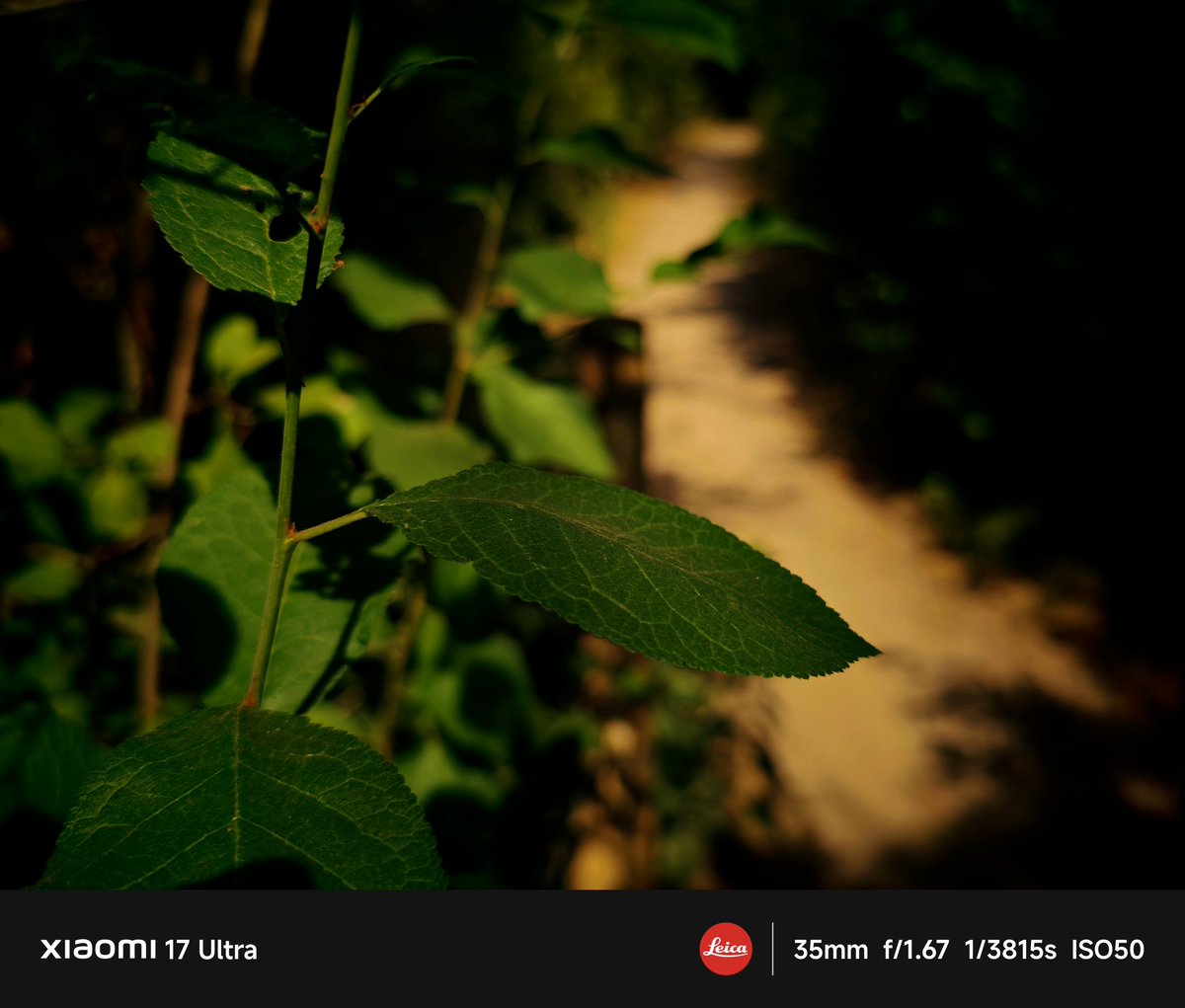 justin_kadafi's tweet photo. The sun capturing the path
“Sometimes, a path calls for you to walk alone. And, still, it is beautiful.”
#LightFusion #leica #summilux #shotonsnapdragon #xiaomi17Ultra #leicacamera #leicaphotographer #suntrap #sun https://t.co/wKbFcxgl65