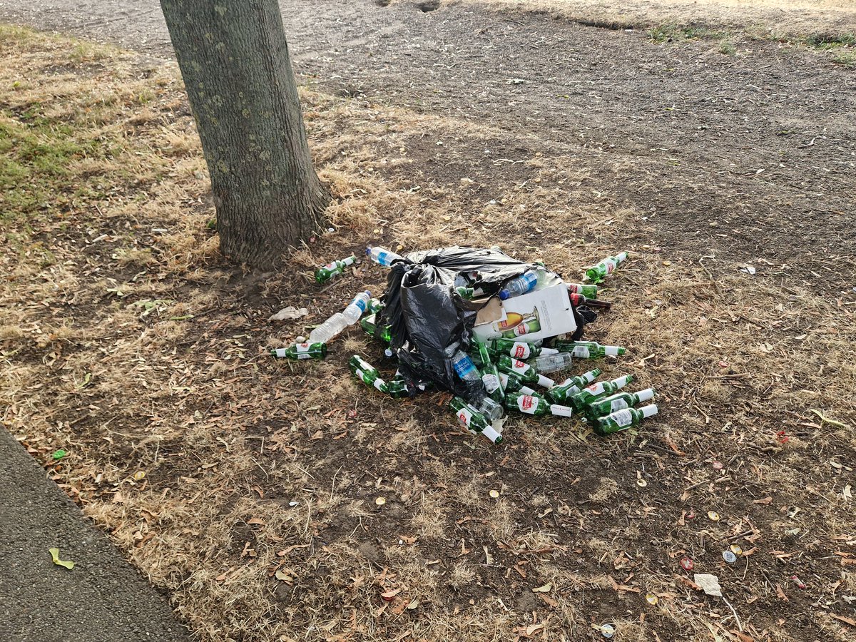 Alexandru2003's tweet photo. @NewhamLondon Maybe use some of the council tax income to clean our parks?? Pictures from Beckton Park https://t.co/RPnDUSM0LI