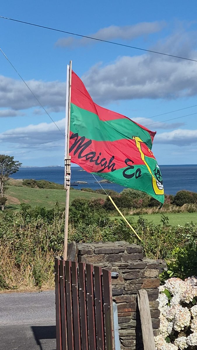 CastlehavenGAA's tweet photo. The Green and Red of Mayo .
There would have been one happy Mayo man in the parish today. The late Ned Cleary always put up the Mayo flag . Kathleen still keeps the tradition going. https://t.co/8BIhuFEEfs
