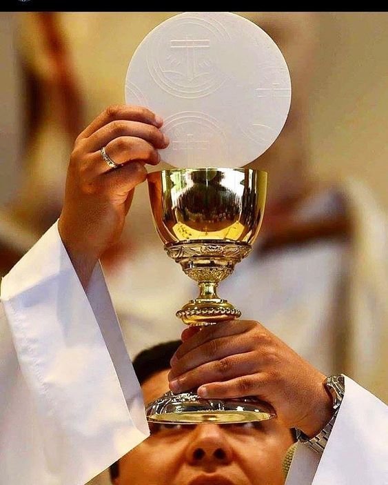 UcheMaryOkoli's tweet photo. If you can see this, I prayed for your intentions at Mass today being Monday. https://t.co/u3xeWNarUD