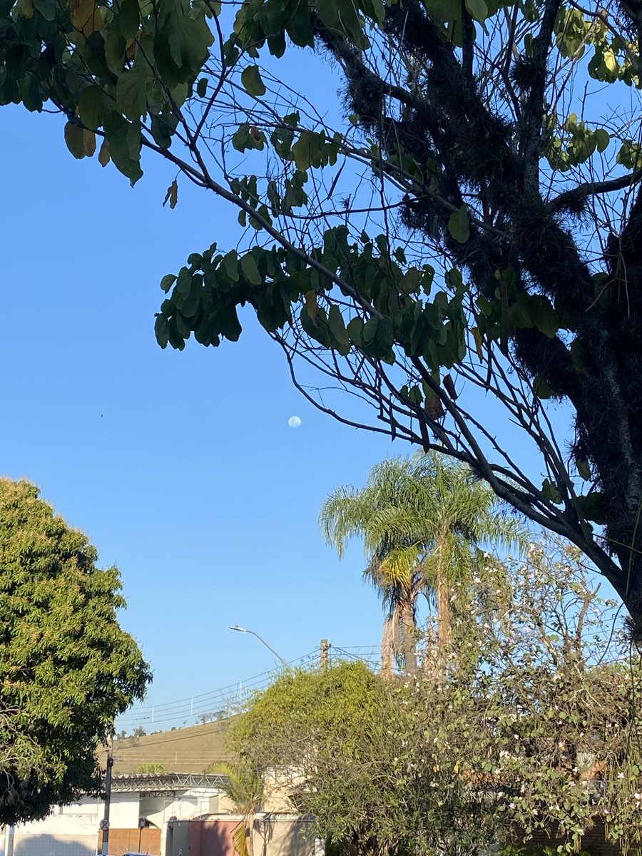 _AlvezLu's tweet photo. Tarde em paz brindando as risadas e a calma que ela dá pra minha alma. 🩷 https://t.co/kOXHAXp677