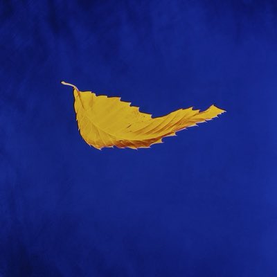 ferg1e's tweet photo. #NewProfilePic https://t.co/3wLp6JNsP8
