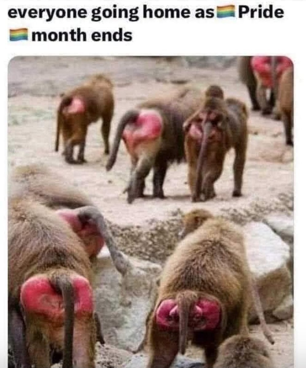 Trump_112's tweet photo. @Gary04317416 Big Mike is as beautiful as s baboons ass... https://t.co/ipPvupVOzd