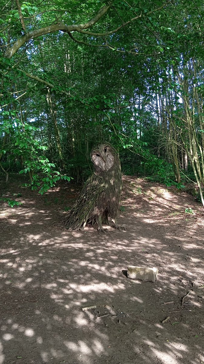 BisJessicaBis's tweet photo. @cathbertrand5 Quelque  part dans les Monts de Flandres 💚 https://t.co/m5rCdeA1cD