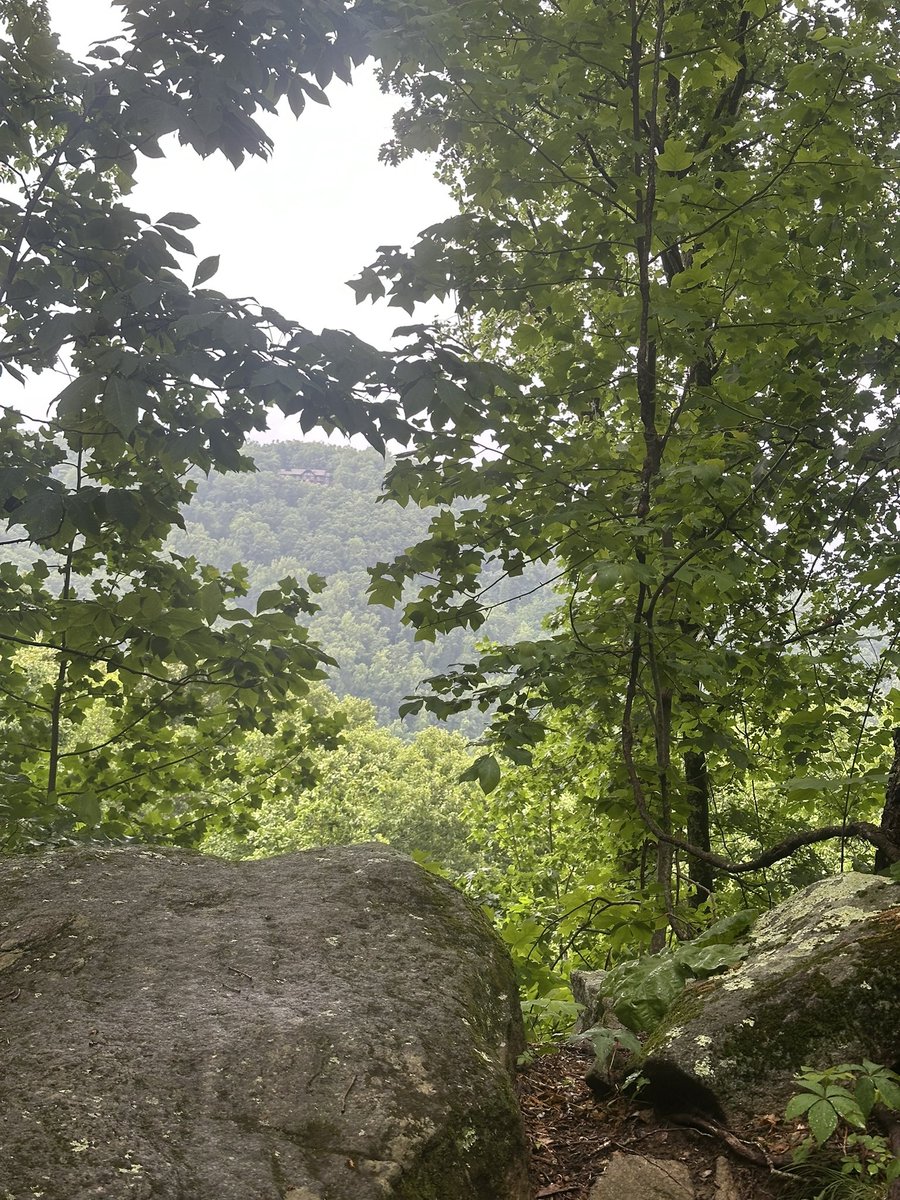 unknownglynaive's tweet photo. i mean i already love hiking https://t.co/qmMRIkR2pY