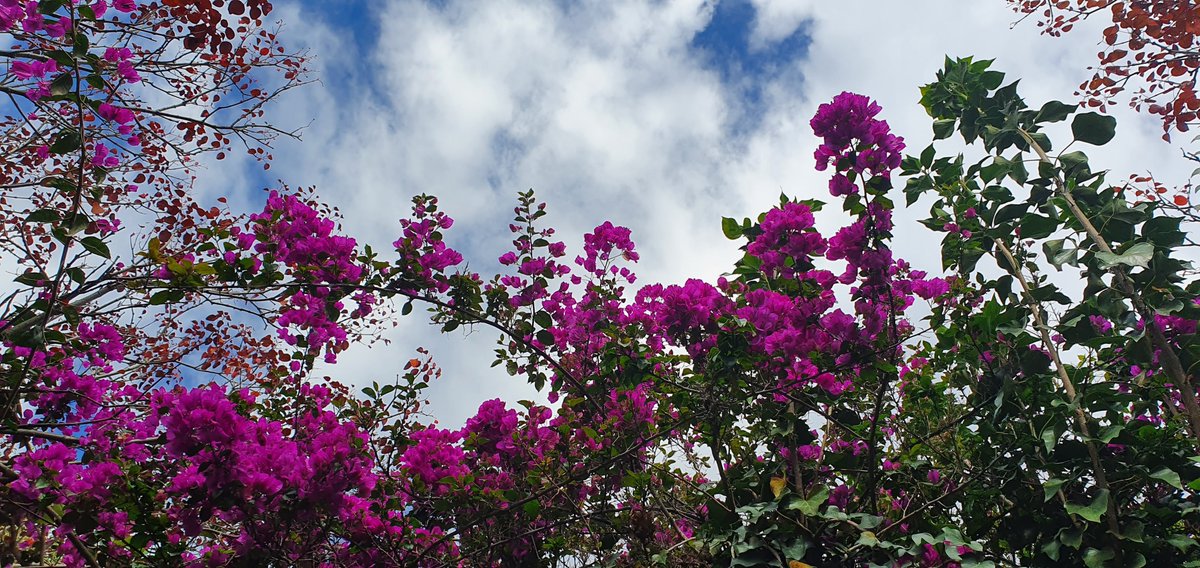 Havenlust's tweet photo. Dreaming https://t.co/VG3QoNjZ1G