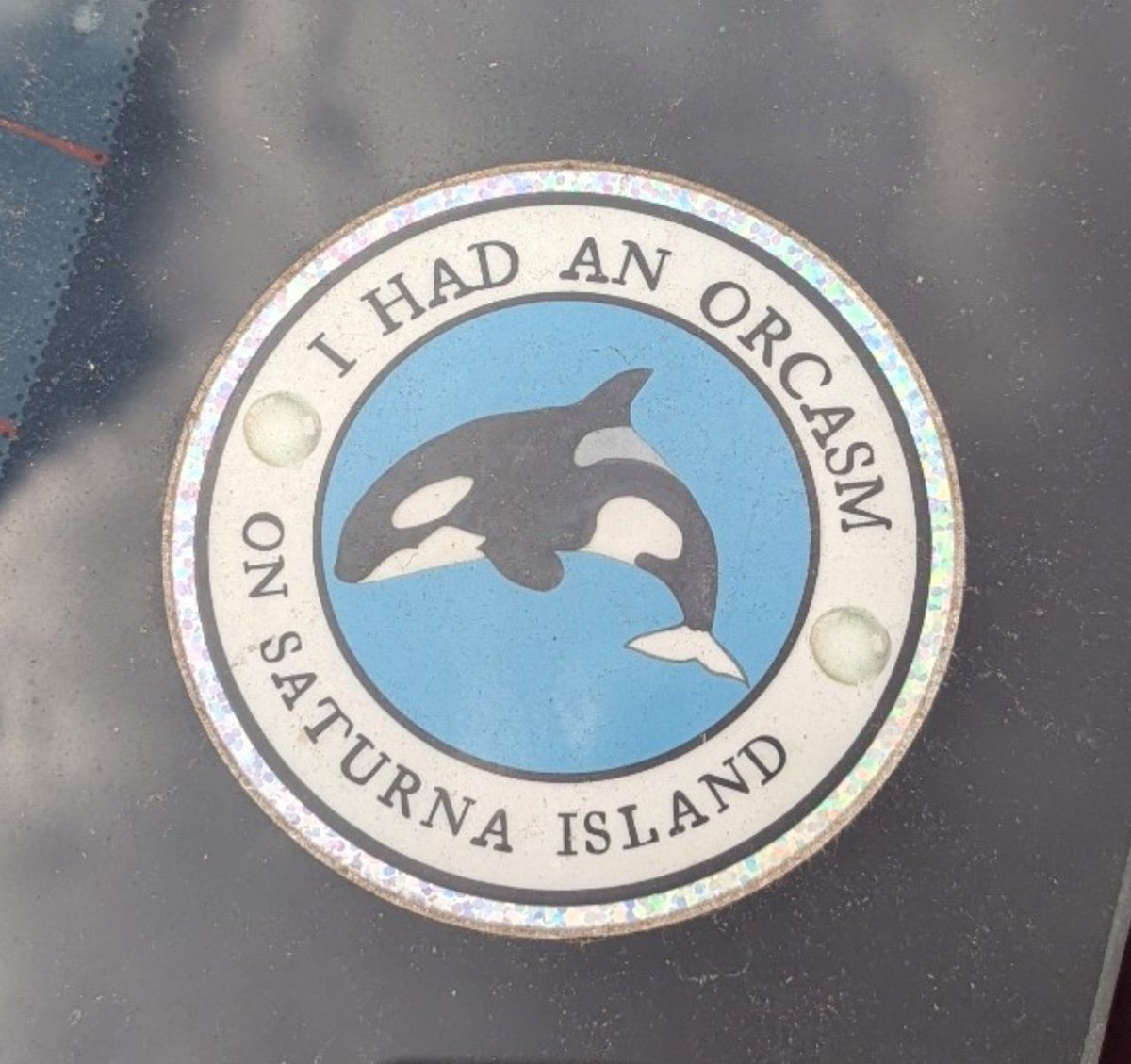 aubrey18207311's tweet photo. saw this car sticker today and thought of Belmont Cameli 🫍 https://t.co/daElgerkCn