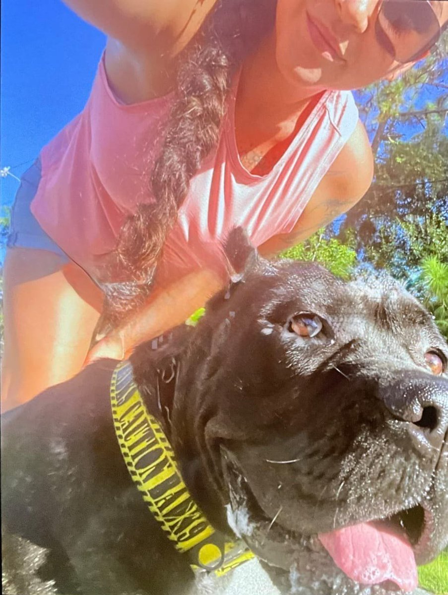 cannibalcuh7dk's tweet photo. We’re making memories one paw print at a time, and there’s plenty more to come 🐕💕 Join the fun and hit subscribe

https://t.co/ZShOhAXZzp https://t.co/nbvYy4bfgo