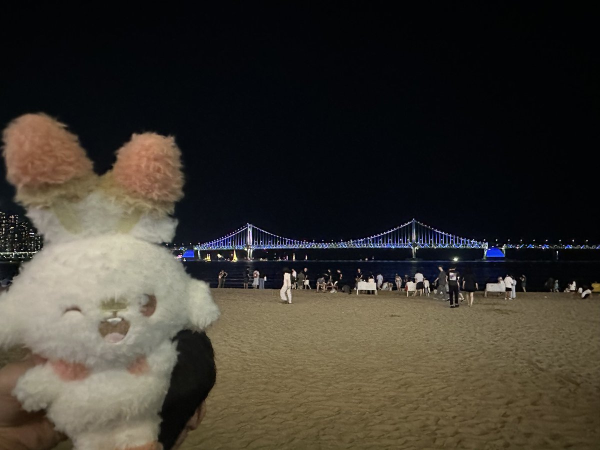 9jikuma's tweet photo. 광안리 포켓몬 드론쇼 👾 https://t.co/Oqv3NjIkgO