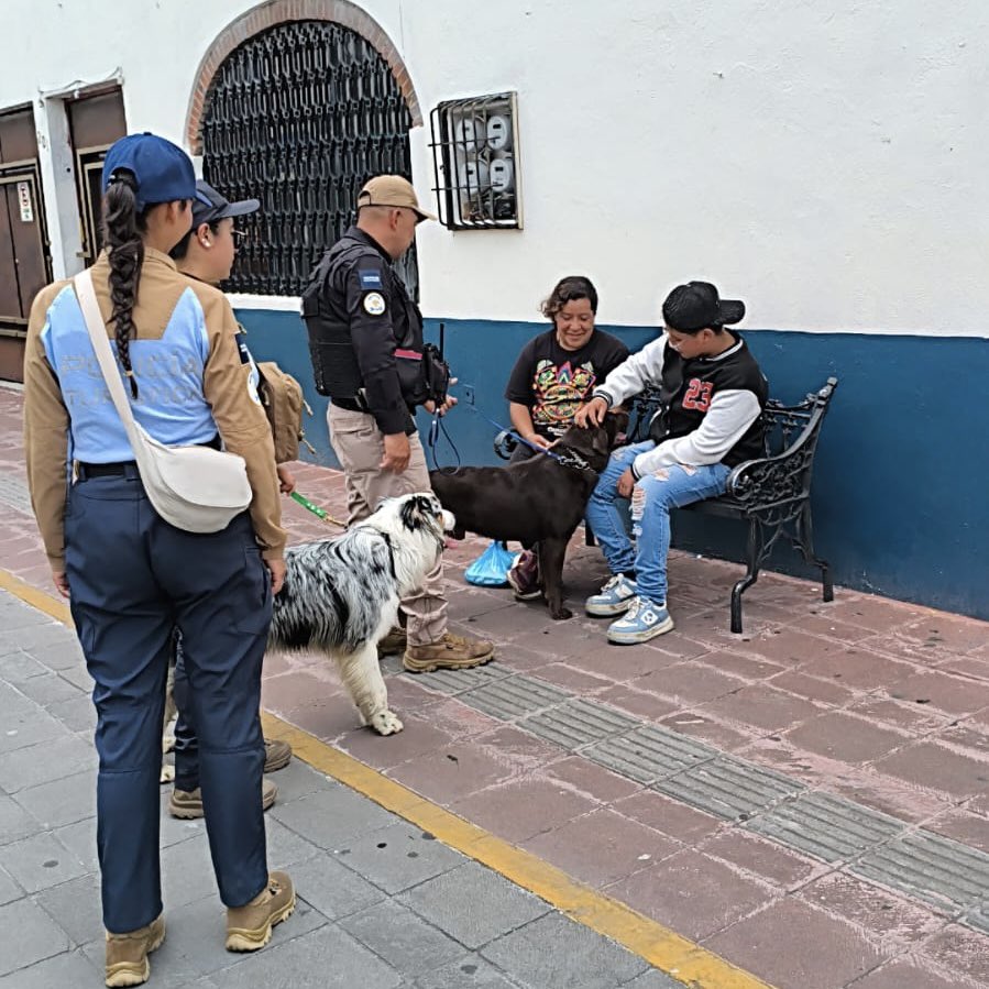 FerFlores_Emp's tweet photo. Nuestra Policía Turística realiza patrullajes permanentes en los principales espacios que visitan familias, turistas y visitantes, brindando orientación, apoyo y atención para que disfruten de una experiencia segura y agradable.

Seguimos trabajando para que cada rincón de nuestro municipio sea un lugar de confianza, convivencia y orgullo para todas y todos. 

#Metepec #PolicíaTurística #Seguridad #Turismo #CiudadSegura