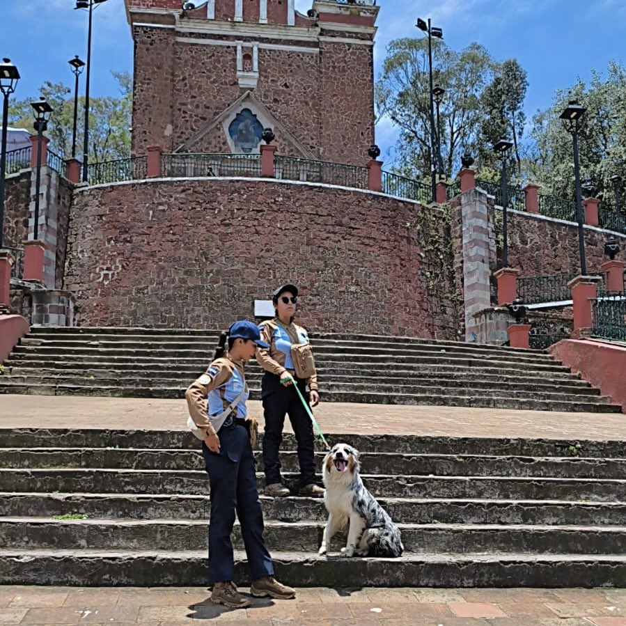 FerFlores_Emp's tweet photo. Nuestra Policía Turística realiza patrullajes permanentes en los principales espacios que visitan familias, turistas y visitantes, brindando orientación, apoyo y atención para que disfruten de una experiencia segura y agradable.

Seguimos trabajando para que cada rincón de nuestro municipio sea un lugar de confianza, convivencia y orgullo para todas y todos. 

#Metepec #PolicíaTurística #Seguridad #Turismo #CiudadSegura