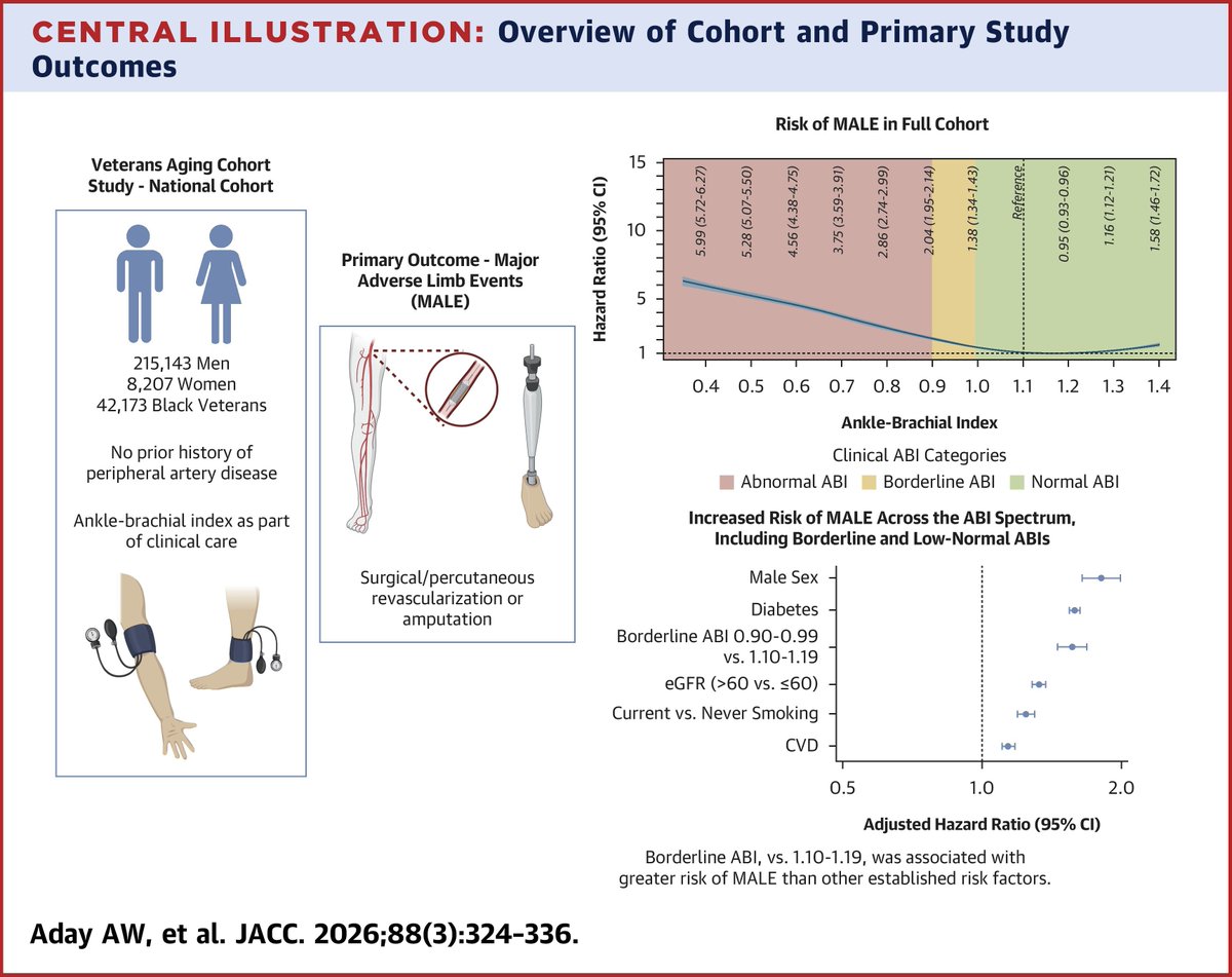 JACCJournals's tweet photo. Is a "borderline" ankle-brachial index (ABI) really benign? In 223,350 veterans, even modest ABI reductions (0.91-1.00) predicted future amputation or #revascularization (HR 1.53) with a stronger signal than smoking or prior #CVD. https://t.co/toqBqATRMK

#JACC @JoshuaBeckmanMD https://t.co/VjUHicnrWY