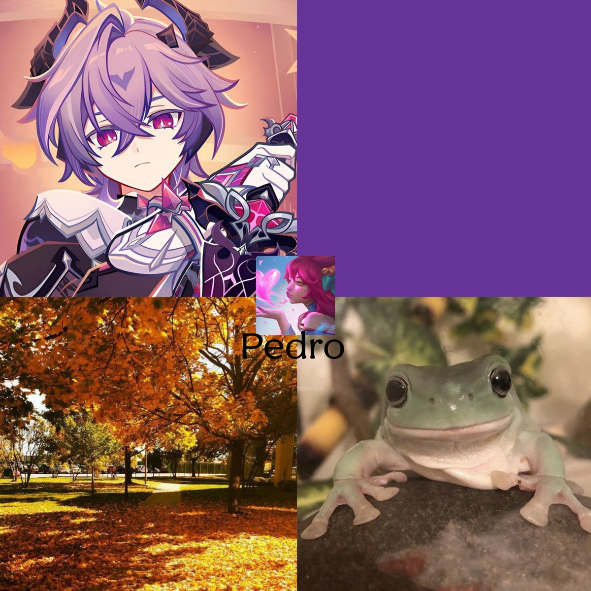 rafcutte's tweet photo. https://t.co/x6gkmKWMZb