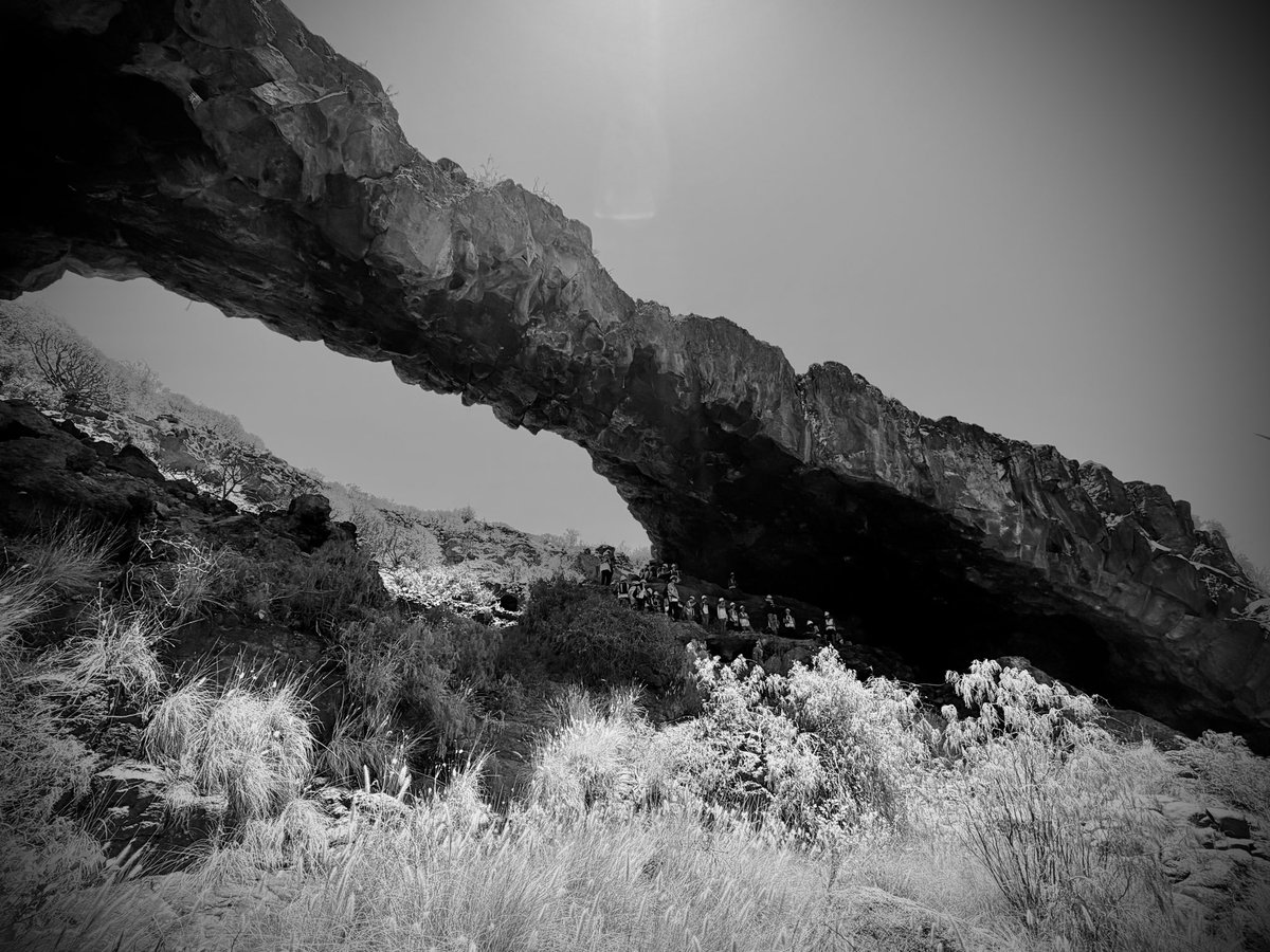 IgnacioGarciaGT's tweet photo. 2026 @geointern is promoted &amp; organised by @geotenerife
27 students from different universities worldwide are taking part in 4 research programmes (#volcanology #geohydrology + #sustainabletourism) with the collaboration of @IGME1849 &amp; @IGNSpain 
@TenerifeNature https://t.co/cV3gfuza12