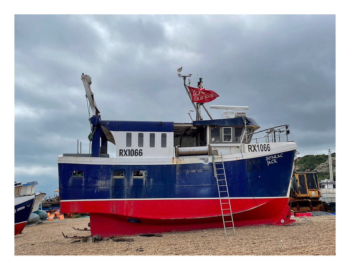 mittu12's tweet photo. @DailyPicTheme2 26 July today’s #DailyPictureTheme is #Jack
Hastings Senlac Jack (Photo August 2021) https://t.co/A6Fa5UZxkf