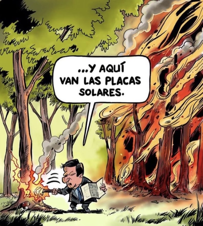 Juana Pérez 🇵🇪🇪🇸 tweet media