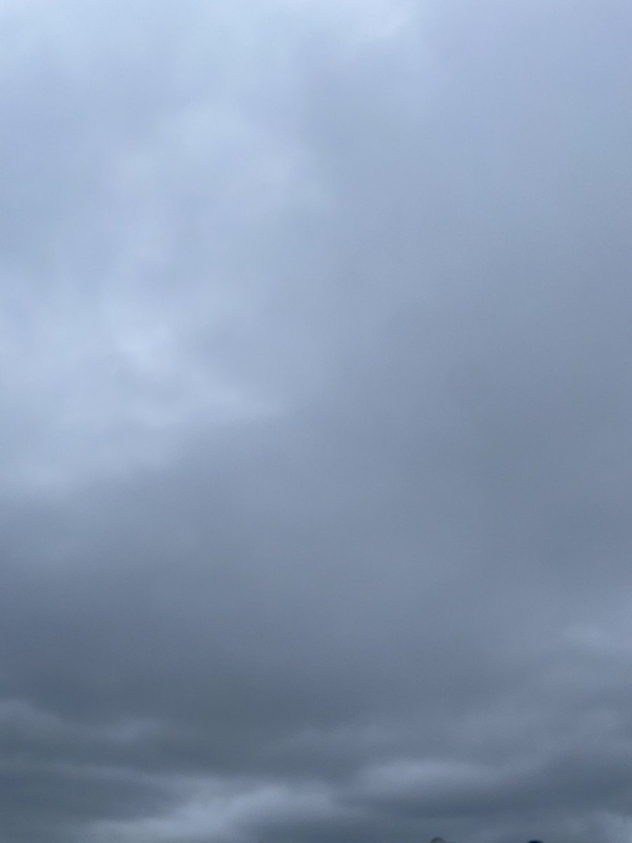 heidiadalheide's tweet photo. 着いたよ、おはよう。

今日は大早。
夜は緊張してさほど眠れず、アラームで起きられたからまぁ良し。

曇りで風もあるから少し涼しいし、このまま穏やかにやり過ごしたい所存。

なんか降りそうなだけど、帰りに止んでたらいいわ。 https://t.co/GumEi9hreR