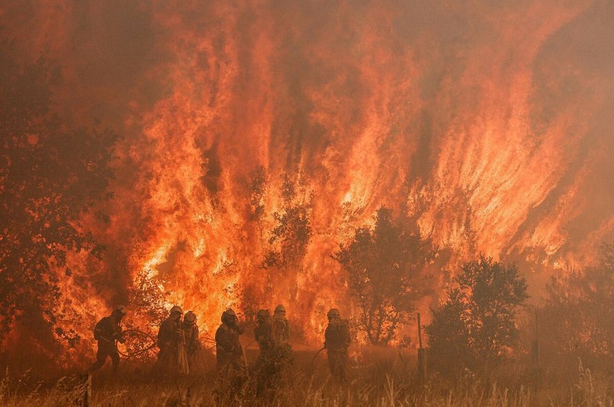 Lamorteratres's tweet photo. LA SEMANA QUE VIENE HAY OTRA OLA DE CALOR CON EL TERRENO MÁS SECO Y EL MONTE AL ROJO VIVO,AGOSTO PUEDE SER TRÁGICO Y ESTO SE VEÍA VENIR DESDE HACE AÑOS PERO AYUSO EN CUERPO Y ALMA A QUIRÓN,SU NOVIO Y LA FORMULA I
TODAVÍA CIENTOS DE MILES DE MADRILEÑOS LA TOCAN LAS PALMAS
DESASTRE https://t.co/i4oV5m3PAa