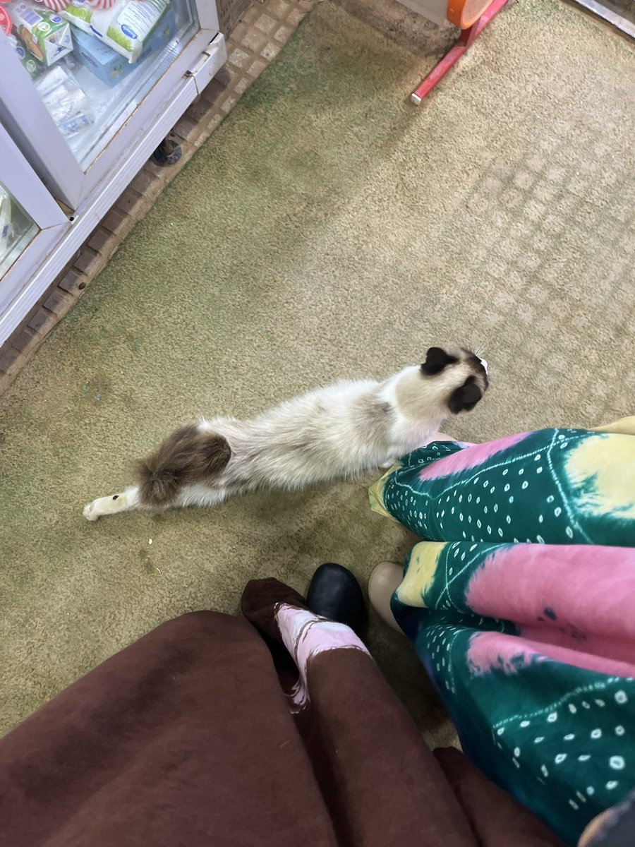 strugglingass's tweet photo. تدحس عليا https://t.co/vvw20hoqPC