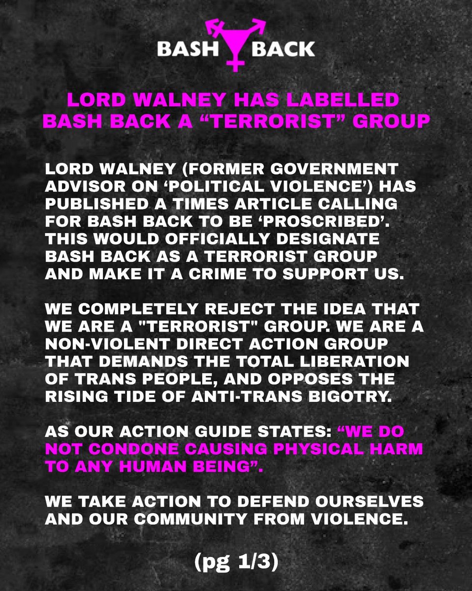 xoxoBASHBACK's tweet photo. BREAKING: Lord Walney, who was responsible in part for the proscription of Palestine Action, has published an article in The Times arguing that BASH BACK should be proscribed as a terrorist organisation.

We will not be intimidated.

Neither should you.

xoxo BASH BACK https://t.co/KAZRxbWNJj
