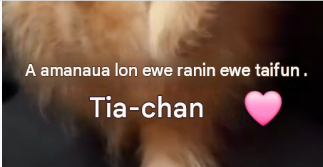 ithinkimsic's tweet photo. Cate is at 1 MILLION and I just found her sister who is NAMED "Tia" 

Is this not the best fucking cope deriv ever???

PROOF: https://t.co/kZxDQOJRvF https://t.co/YycTp9z95S