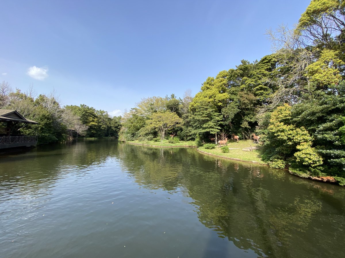 mikko_20100518's tweet photo. アメリカ河の風景。…これ、本当に「ここが都心に近い場所」だとは思えないですよね…。他の建物や施設が全く視界に入らない場所があるこだわり。…ただ、今でもそのこだわりは残っているのか？そして、今後の大規模開発でその辺りはどうなっていくのか？…気になりますよね🌳 https://t.co/D9EhJVhJ1Q