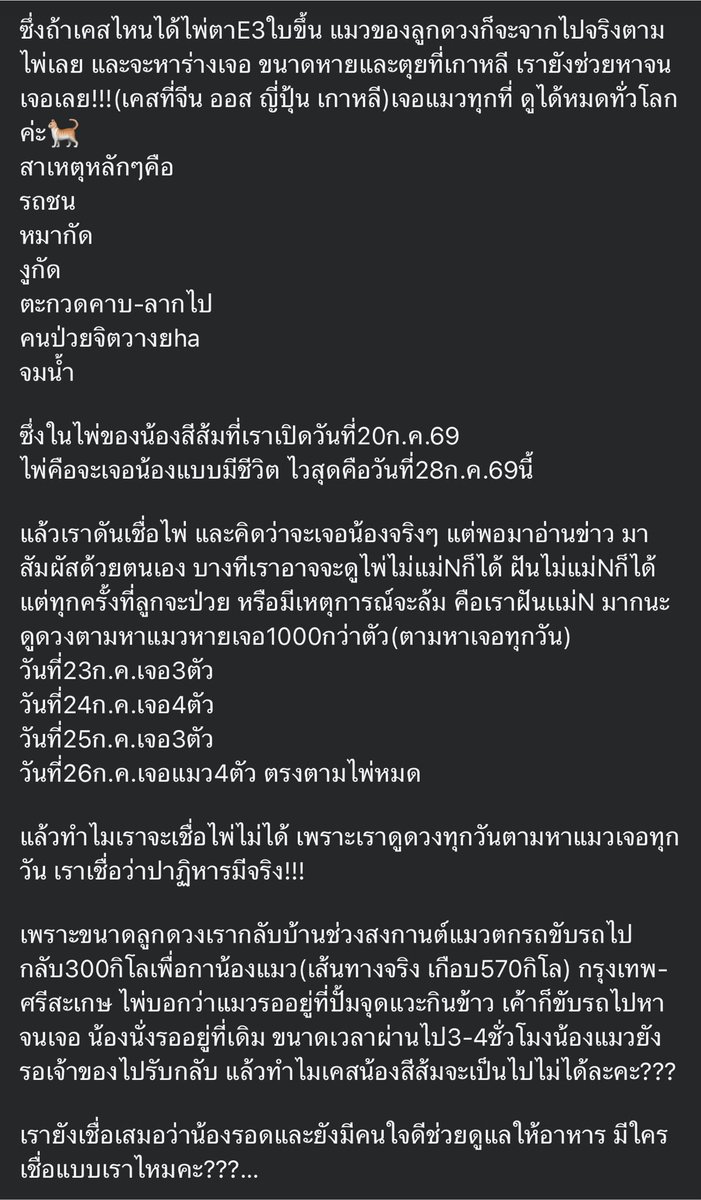 Supkdaob's tweet photo. หวังว่าจะมีคนใจดีเก็บน้องสีส้ม #แมวหายบนรถไฟ ไปดูแลตามไพ่แม่หมอคนนี้ค่ะ รู้สึกเป็นห่วงมาก น้องหายไปเกือบเดือนแล้ว ตอนนี้ขะเป็นยังไงบ้างพิการ2ขาหลัง ช่วยเหลือตัวเองได้น้อยจะหากินยังไง😥🥹 
ขอให้หนูปลอดภัยนะลูก ปาฏิหาริย์มีจริง ทุกคนรอหนูกลับบ้านนะสีส้ม https://t.co/5wv0dY7AQ8