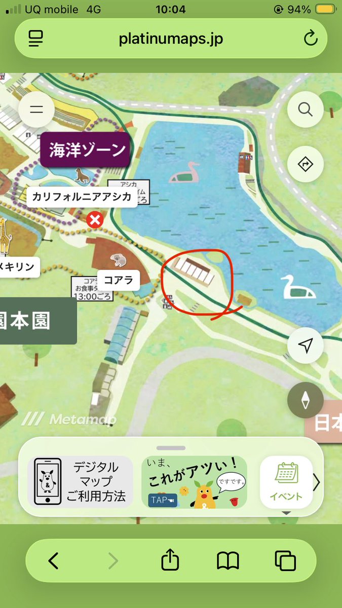 mineco_1907's tweet photo. @m030m コアラ舎斜め向かいの池のほとりにあるSHOPです。

園入口の所にもあるかもしれませんが、私はこちらで購入しました。 https://t.co/5I6uIp0Yf0