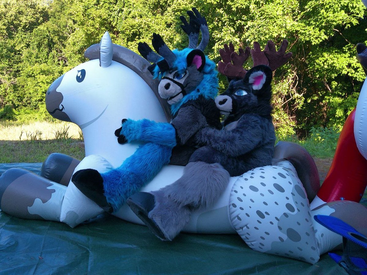 RikkuLion's tweet photo. Felt good to spend the Sunday hanging with friends, getting fluffy and taking toys out to the yard for riding and pictures!  I want to spend more sundays like this.

@CaribouEno https://t.co/z5DX3Fouif