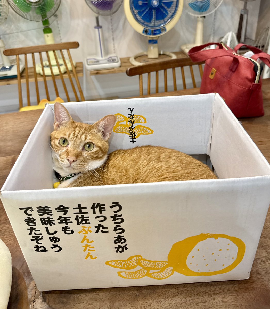 omochi_nam01's tweet photo. 早めのお昼ご飯を食べて、のんびり。。 https://t.co/uKCuaZ9QFJ
