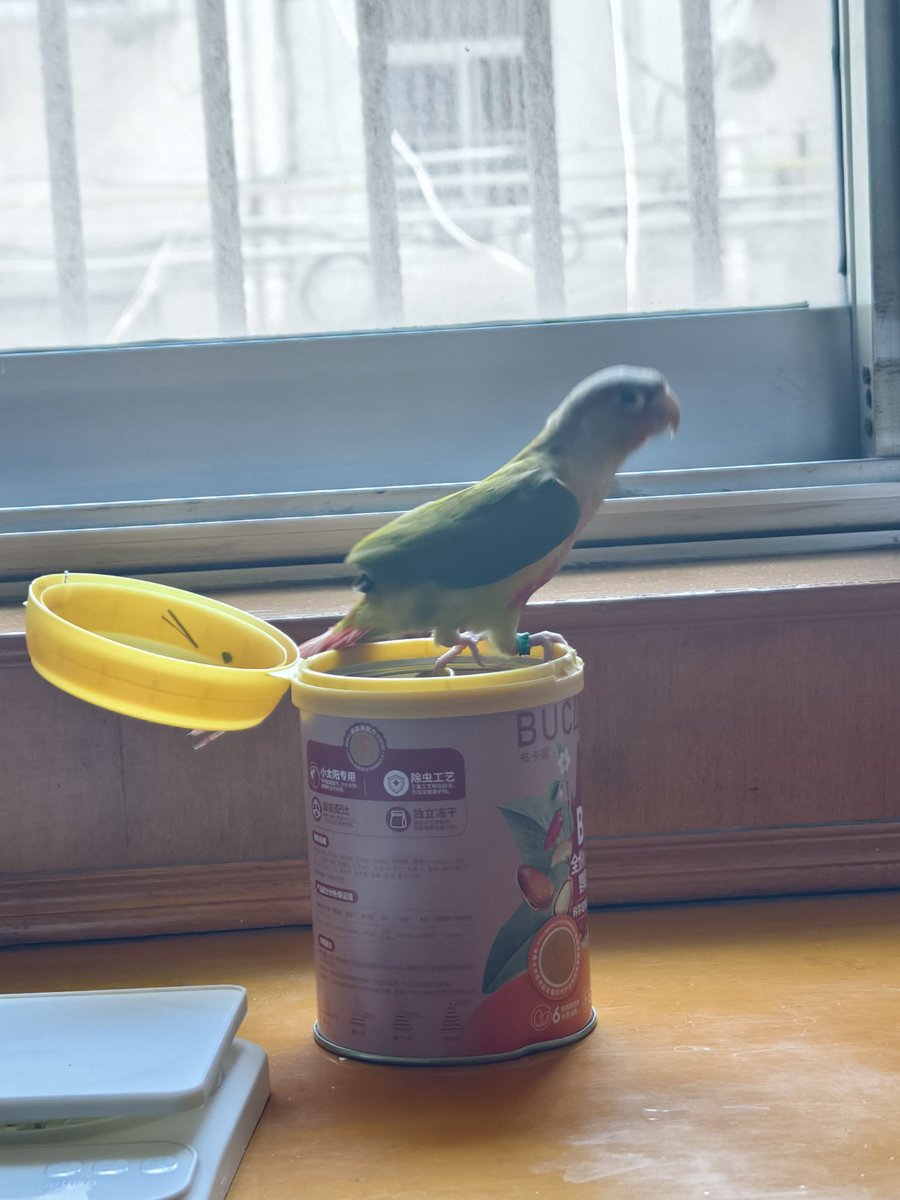 Sara_cinal's tweet photo. https://t.co/C5aRM95nhA