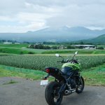 Photo by 伊野 亘輝 (@memocamera)