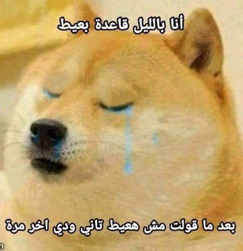 30_6AH's tweet photo. https://t.co/xnv3oMxhz2