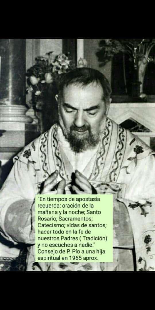Luis61053512's tweet photo. “En tiempos de apostasía recuerda; oración de la mañana y de la noche; Santo Rosario; Sacramentos; Catecismo; vidas de santos; hacer todo en la fe de nuestros padres(Tradición Apostólica) y no escuches a nadie”.. 

Padre Pío 1965 a una hija espiritual https://t.co/8yXmWnY7sp