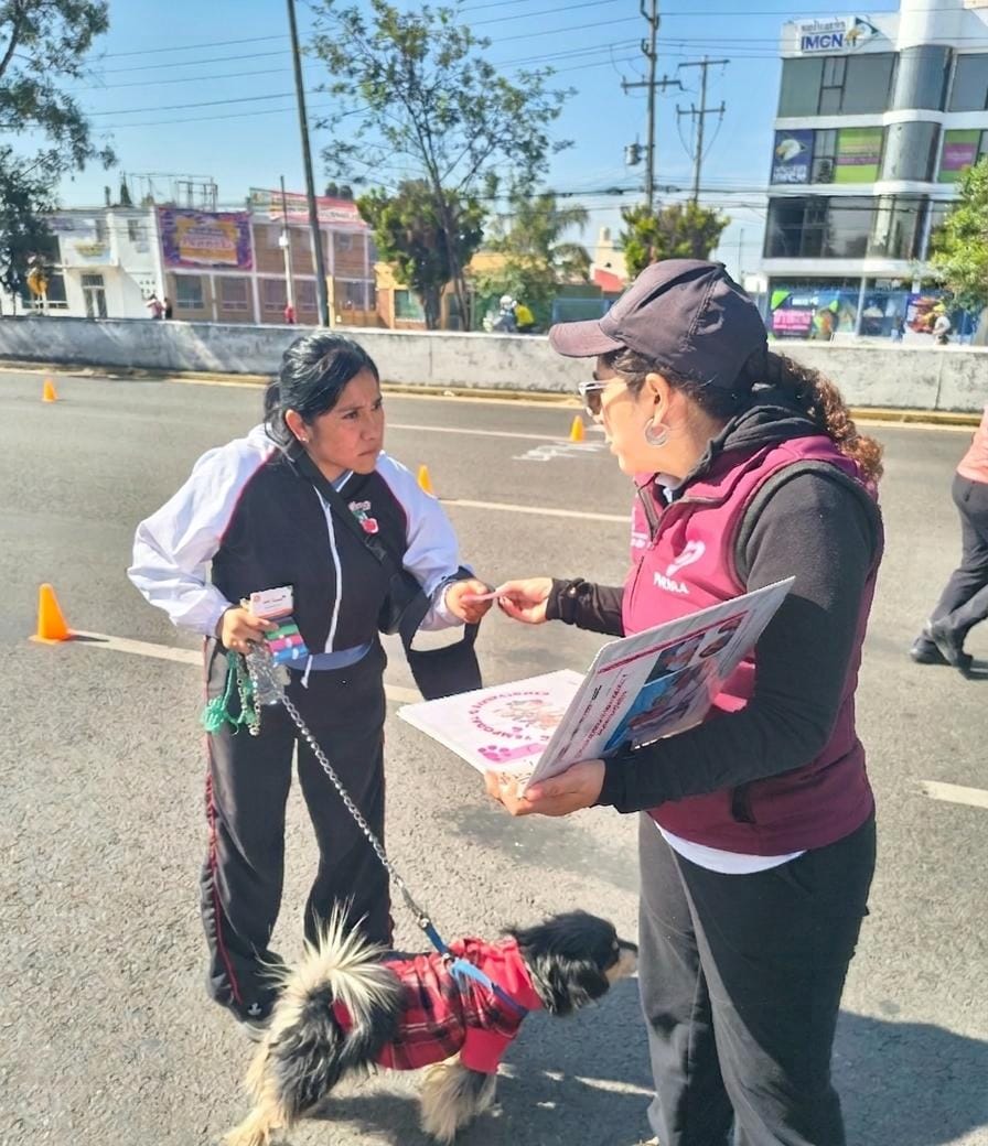 DIBAGobPue's tweet photo. 🐾🐕Participamos en la #VíaRecreativaMetropolitana.

Desde el @DIFGobPue trabajamos para crear espacios seguros, donde cada ser sintiente reciba respeto y donde las familias convivan en armonía, para fortalecer una cultura de cuidado, empatía y responsabilidad. 💚 https://t.co/H06mdXIfpU