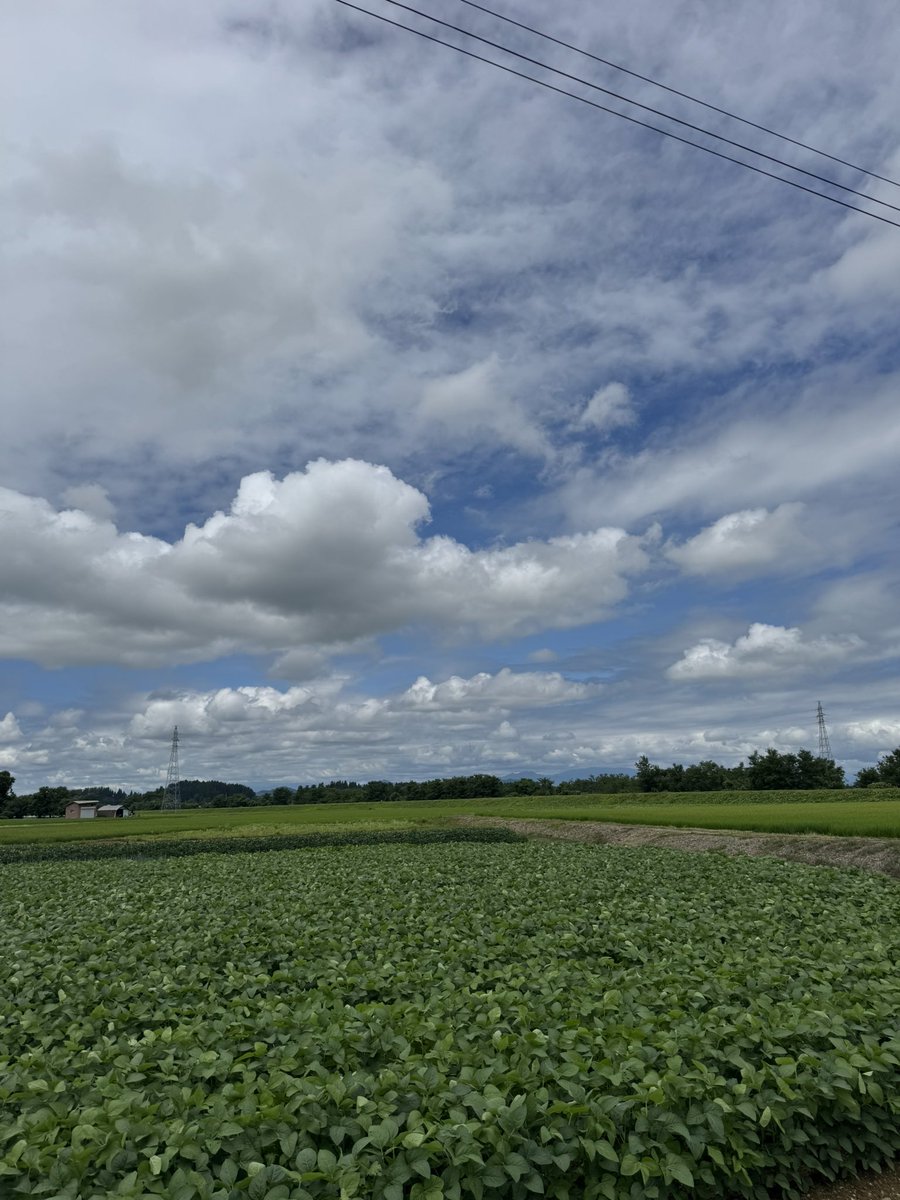 nobhero8's tweet photo. 景色がキレイだったので途中下車したシリーズ！ https://t.co/OVKtzVIrb1