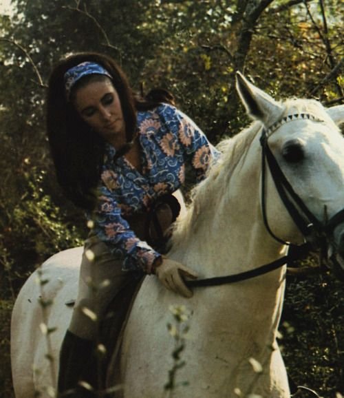 SHARONCINEMA's tweet photo. Liz Taylor in Reflections in a Golden Eye (1967). That's it, that's all I have to say. https://t.co/2QSBIKsP2k