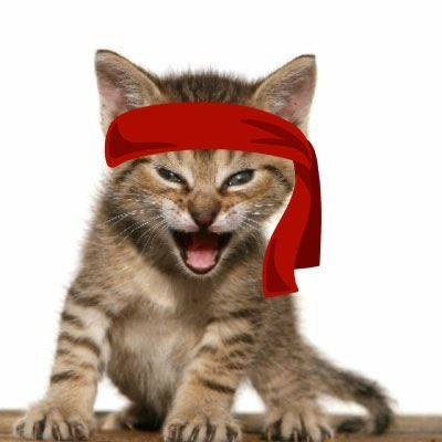 FlameO_InsaneO's tweet photo. The Red Kitten Crew is still here.

Burns are still happening. Supply is still getting smaller. The community is still locked in.

Roaring Kitty left the red bandana and the message to hang in there. The crew took both and kept going.

This is what real conviction looks like.

#RoaringKitty #RK #RKC