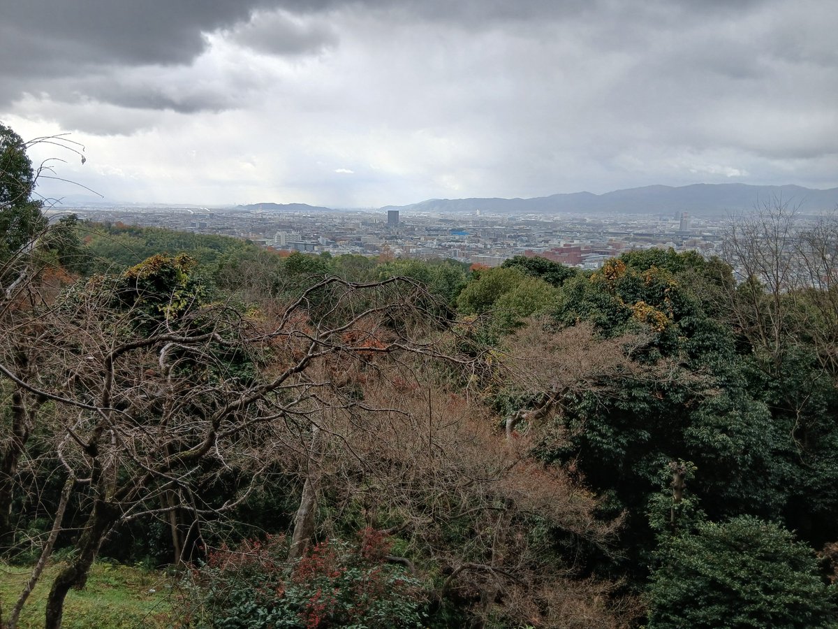 yOmCrJdV3BTc3aL's tweet photo. 皆さん
おはようございます🌅

去年の年末にお詣りした神社⛩️です。
流石にお稲荷さんの総本社
朝でも混んでます。
千本鳥居⛩️を抜け久し振りに
山頂まで登り一周しました。
流石に辛かったです😂(笑)🙏

今日も良い１日をお過ごしください。

#伏見稲荷大社
#京都府京都市伏見区深草藪之内町 https://t.co/3v0YpLpiuY