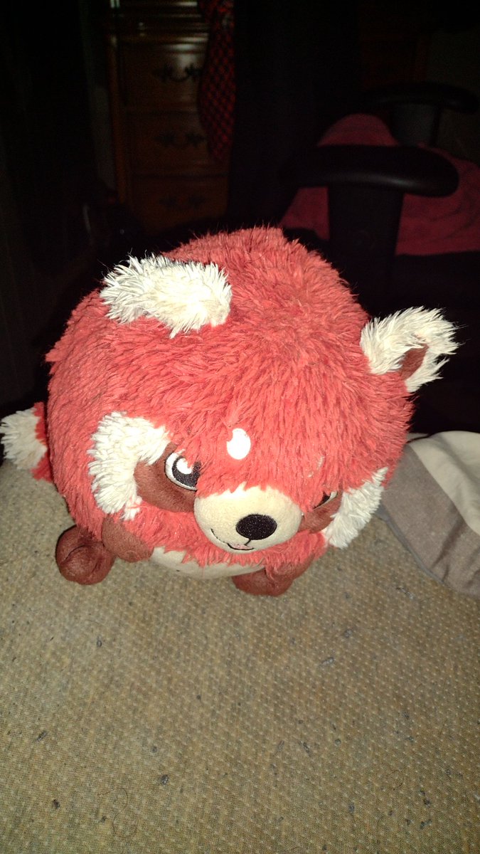 InkWolfJS's tweet photo. I hope you don't mind me holding onto some of your toys until I see you again :( ❤️ I'm so sorry I couldn't save you baby girl https://t.co/vsdjccFAJ7