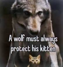 kebarab's tweet photo. how i feel when i hit ‘not interested’ on a lustful post https://t.co/0YC8ba3WbS