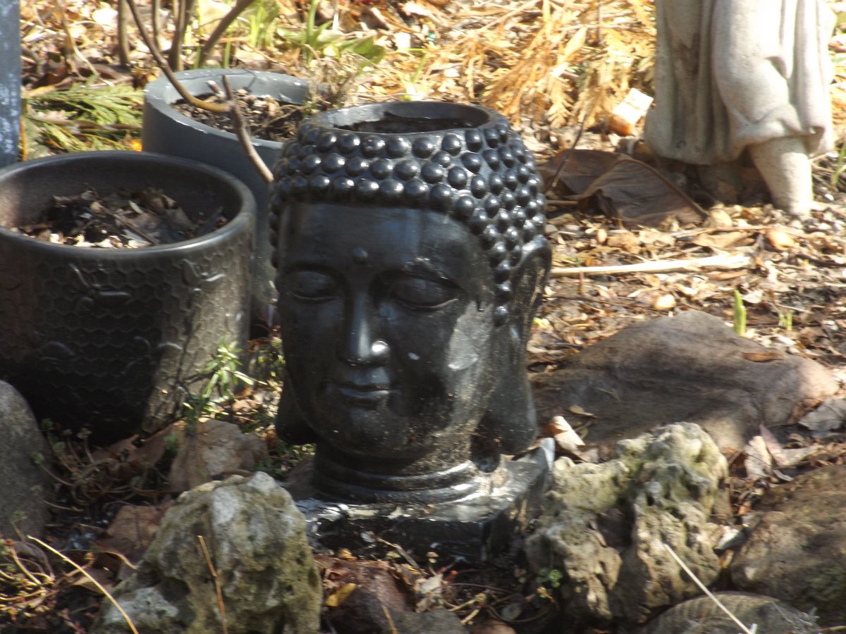 TorPoet's tweet photo. Idol Icons
https://t.co/NKiJSvmylG
#Toronto #WordPress #travel #photography #Ontario #lawndecor #Buddha #firehydrant #angel #gargoyle https://t.co/ZFF7BmOe1x
