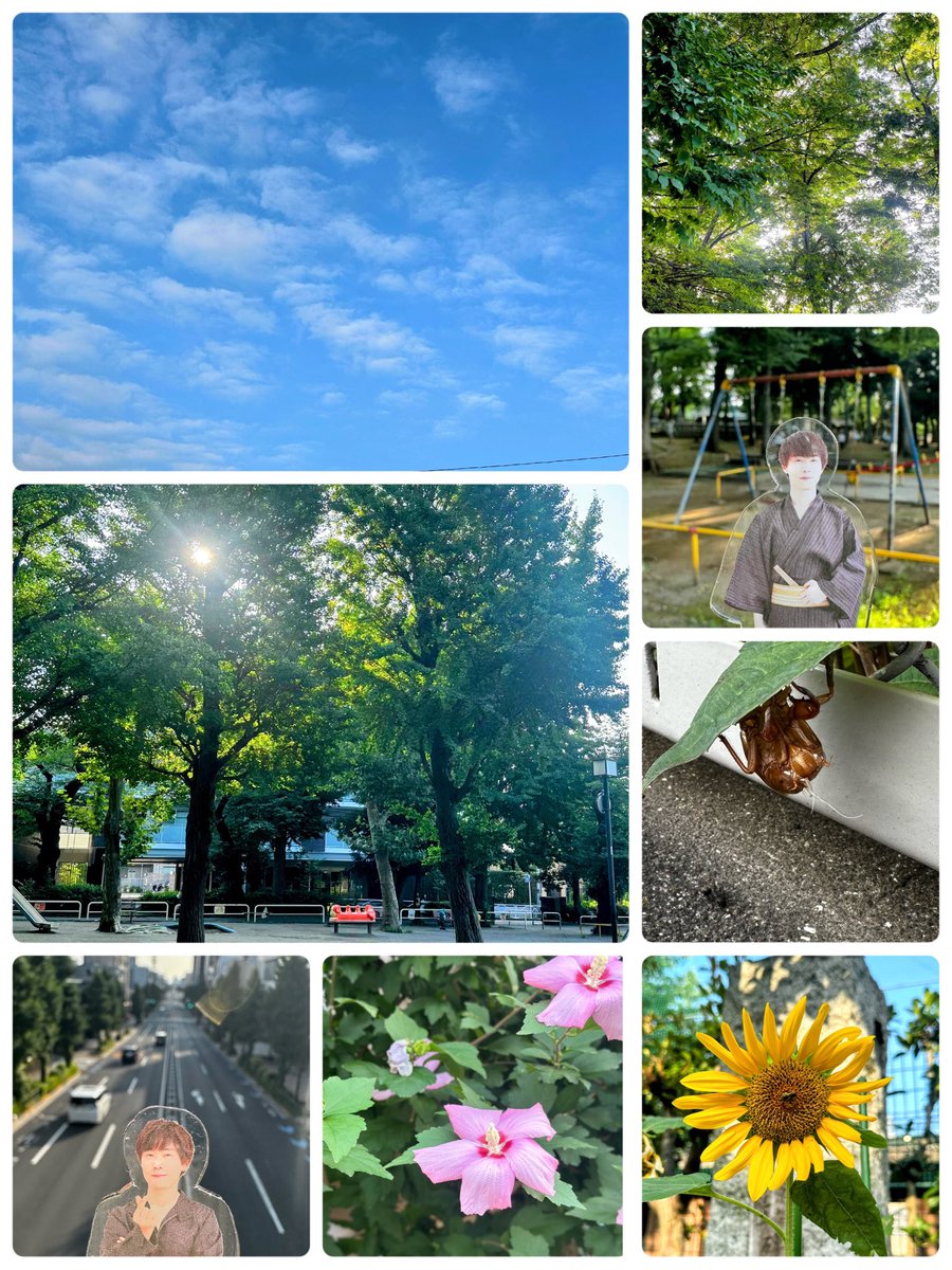 flower_7112's tweet photo. 水曜日までお休み♥️
先月末から病欠者が出てハードな毎日だったから正直嬉しい😭
来月はそのクラスに3人新入園児も入るので定員うまって嬉しいけど、体制大丈夫かな、果たして夏休取れるのかという心配も…😂
仕事の事考えずお休みしよう←果たしてそれもできるのか😂
#撮り徹
@toritetsu_1102 https://t.co/29CArxWMCj