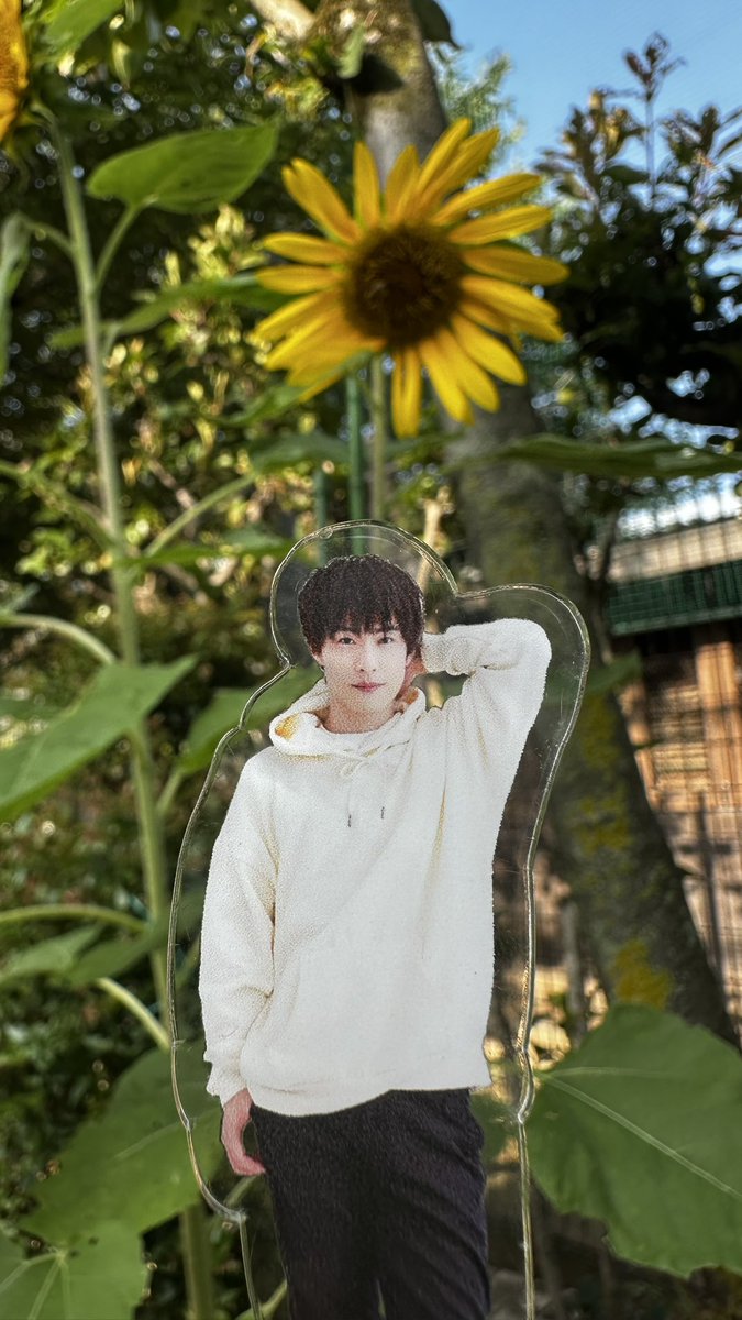 flower_7112's tweet photo. 水曜日までお休み♥️
先月末から病欠者が出てハードな毎日だったから正直嬉しい😭
来月はそのクラスに3人新入園児も入るので定員うまって嬉しいけど、体制大丈夫かな、果たして夏休取れるのかという心配も…😂
仕事の事考えずお休みしよう←果たしてそれもできるのか😂
#撮り徹
@toritetsu_1102 https://t.co/29CArxWMCj