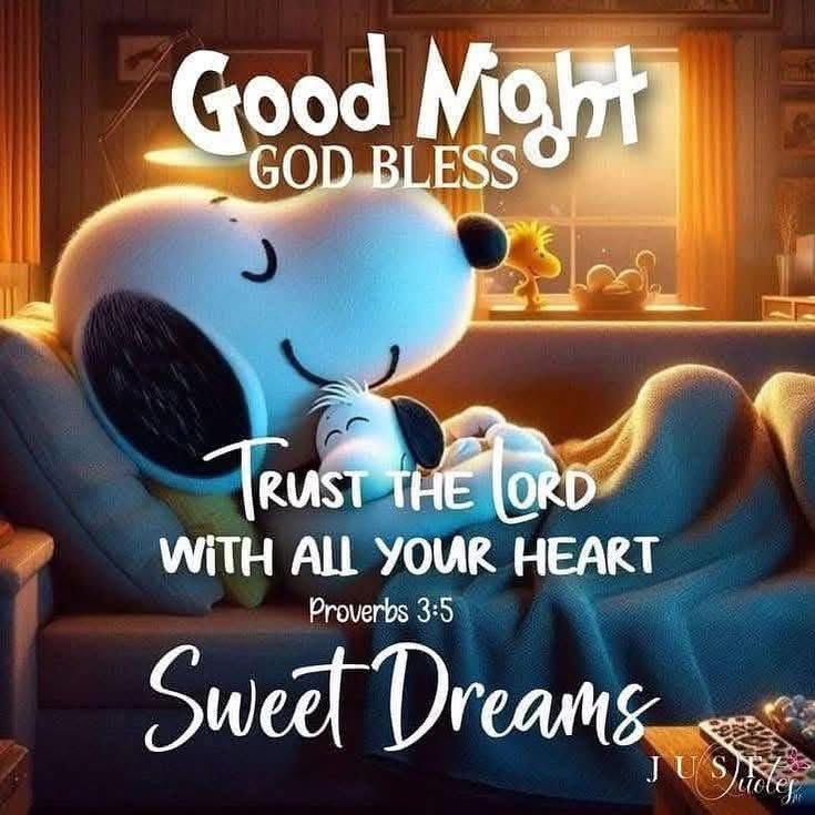 shortyred1983's tweet photo. Good night and sweet dreams everyone ❤️💕🫂🦋💤🌹😍🦜🙏♍️💗🥰💜 https://t.co/MIP5cGHZj2