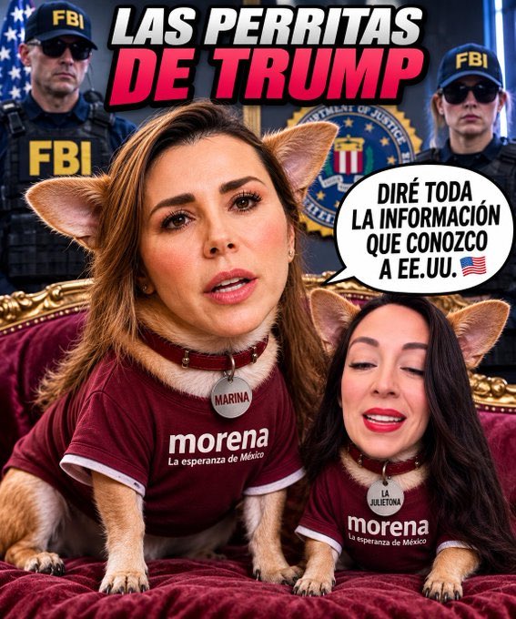 Catnapa1mx's tweet photo. @eltemagv Ooilo 🤣😂🤣😂 https://t.co/flKr9GbGO0