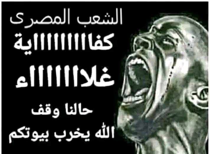 MMohamed3979 tweet picture
