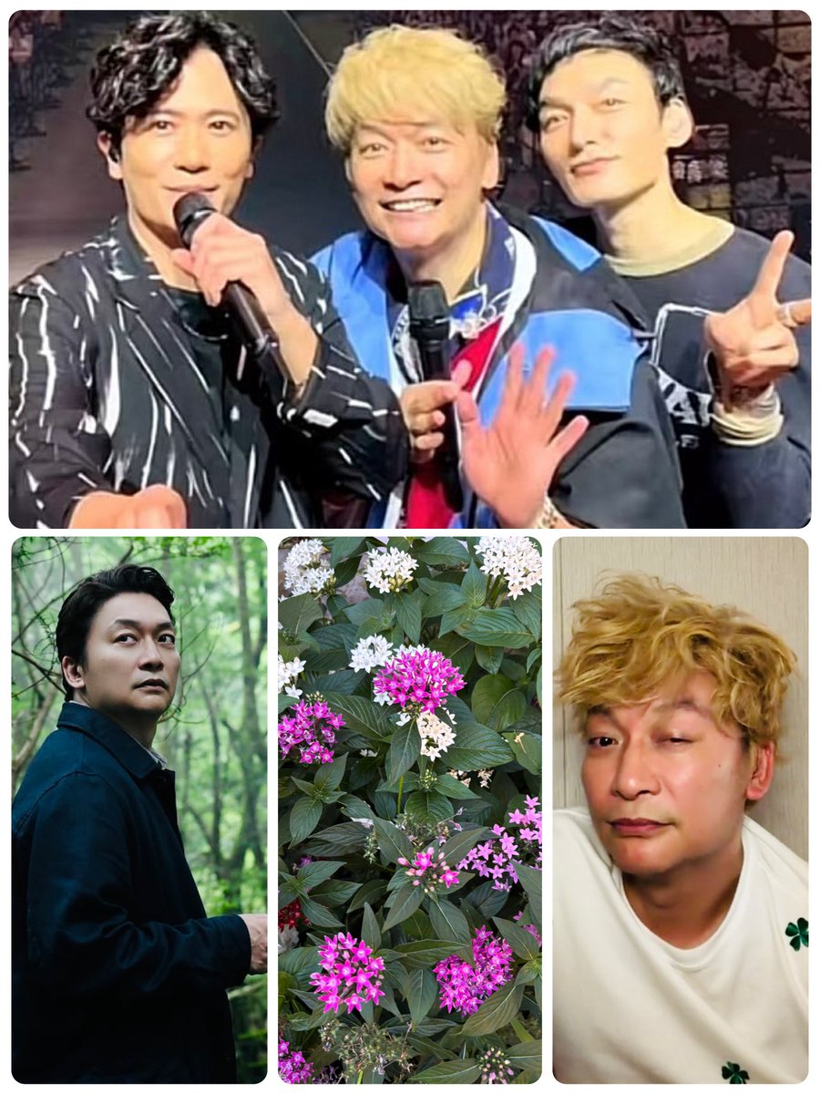 micocoichiao's tweet photo. 7/27㈪おはようございます♪
今日も元気に出勤😄
もう少し先の推し活楽しみに頑張ろっと٩(ˊᗜˋ*)و
#バナ穴 U-NEXT独占配信
#新しい地図 💗💛💚
今週も一笑懸命 テキトーに
感謝と笑顔で🥰
#しんごのめ
#香取慎吾 #花 https://t.co/Pz34VXCb2K