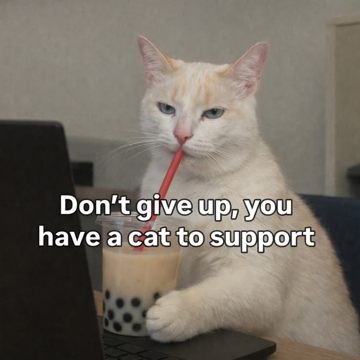 be_my_lunch's tweet photo. Get to work, hooman💪🏽 https://t.co/d1spquAllZ