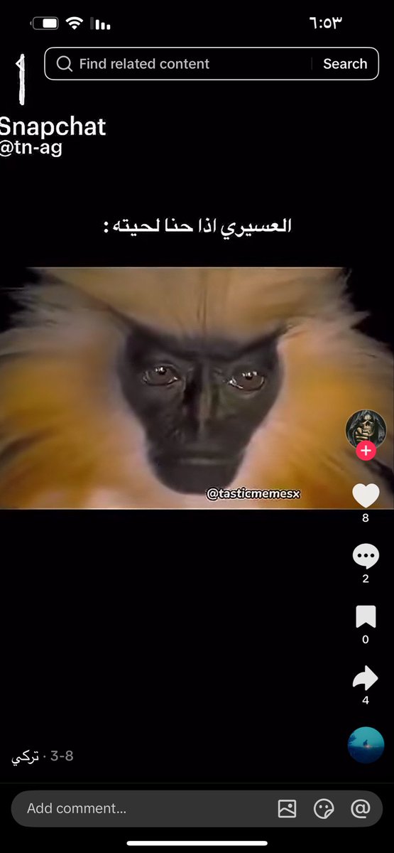 راما الشهراني tweet media